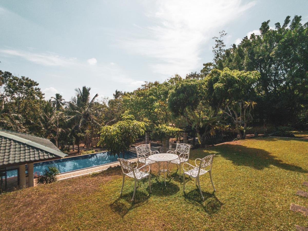 Airport Green Olive Villa Katunayaka Exterior photo